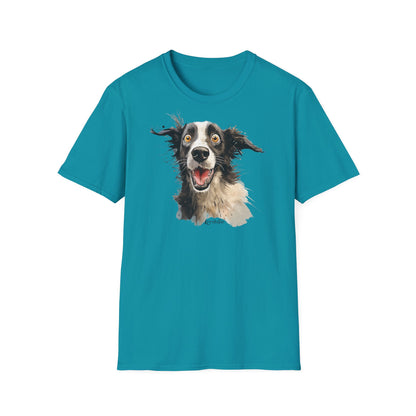 Funny Border Collie #4