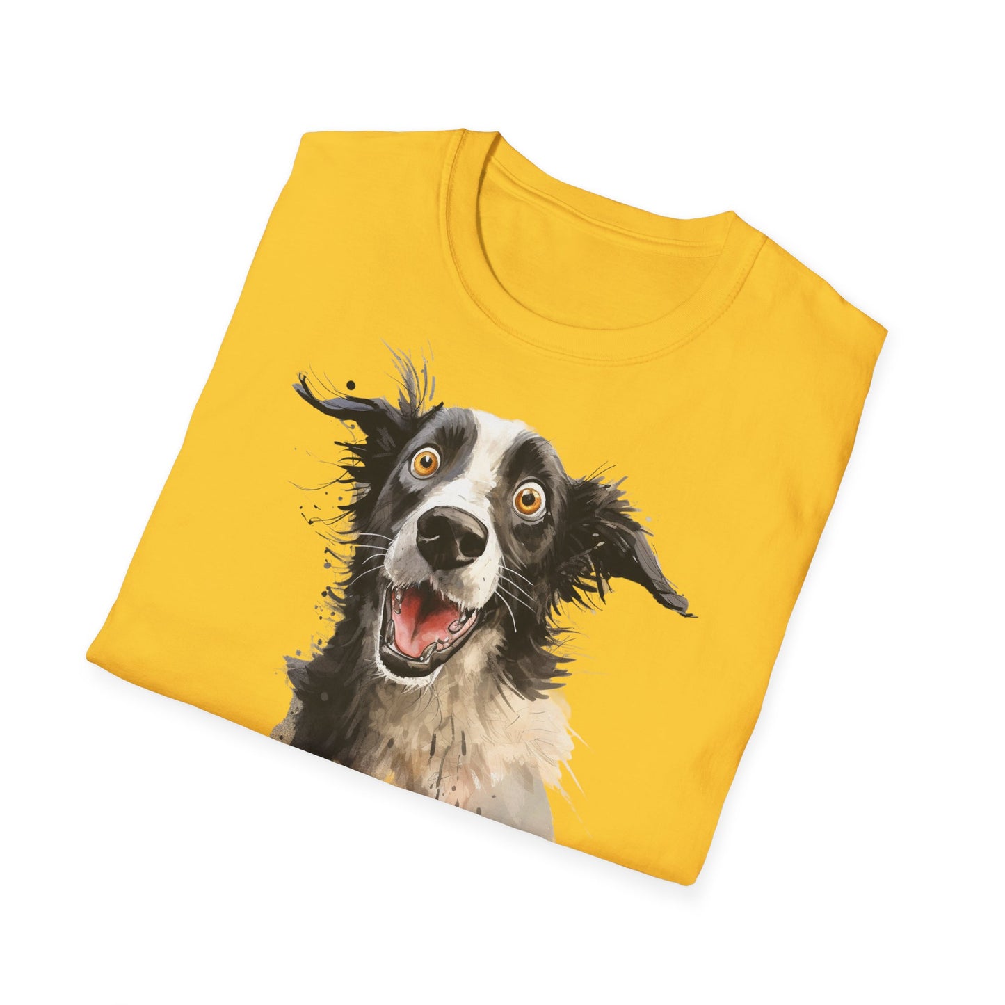 Funny Border Collie #4