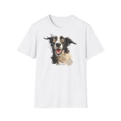 Funny Border Collie #4