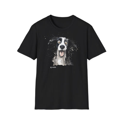 Funny Border Collie #1