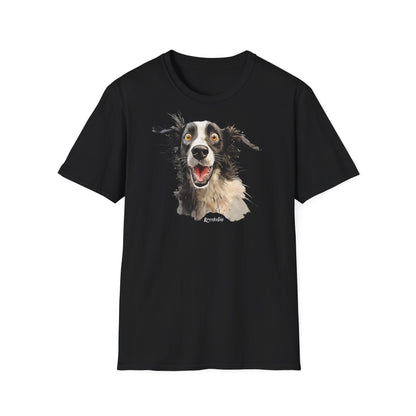 Funny Border Collie #4