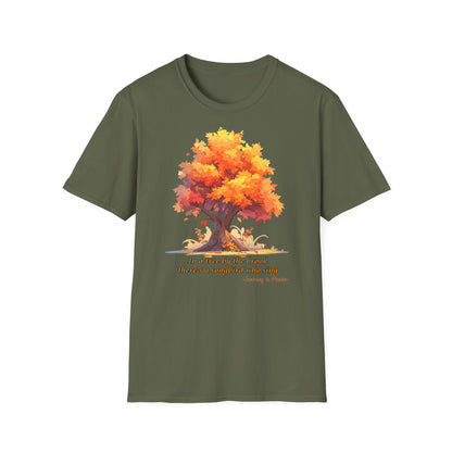 Alberi d'autunno  tshirt uomo