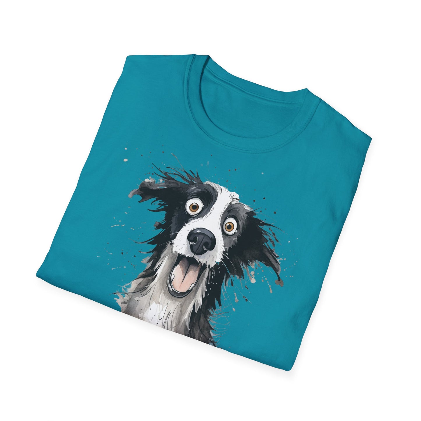 Funny Border Collie #1