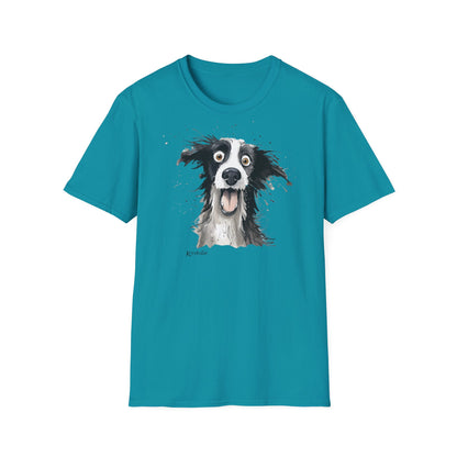 Funny Border Collie #1