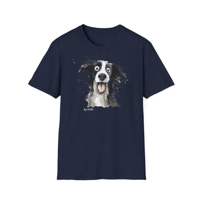 Funny Border Collie #1