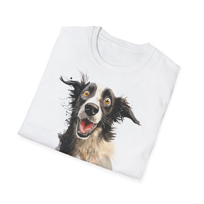 Funny Border Collie #4