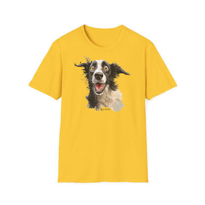 Funny Border Collie #4