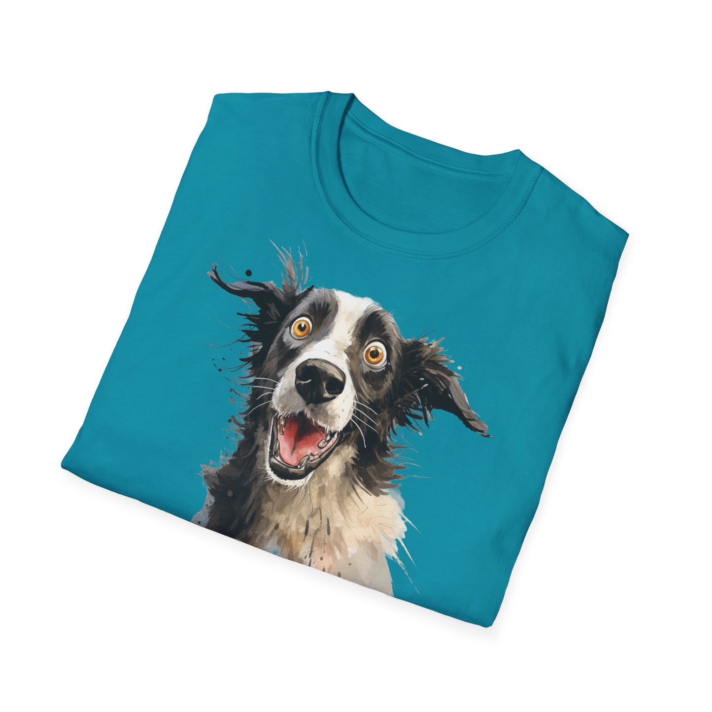 Funny Border Collie #4