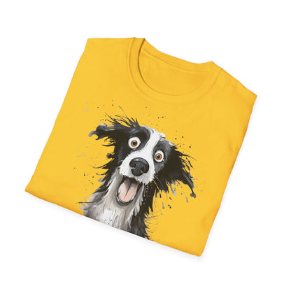 Funny Border Collie #1