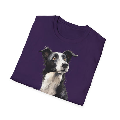 Funny Border Collie #3