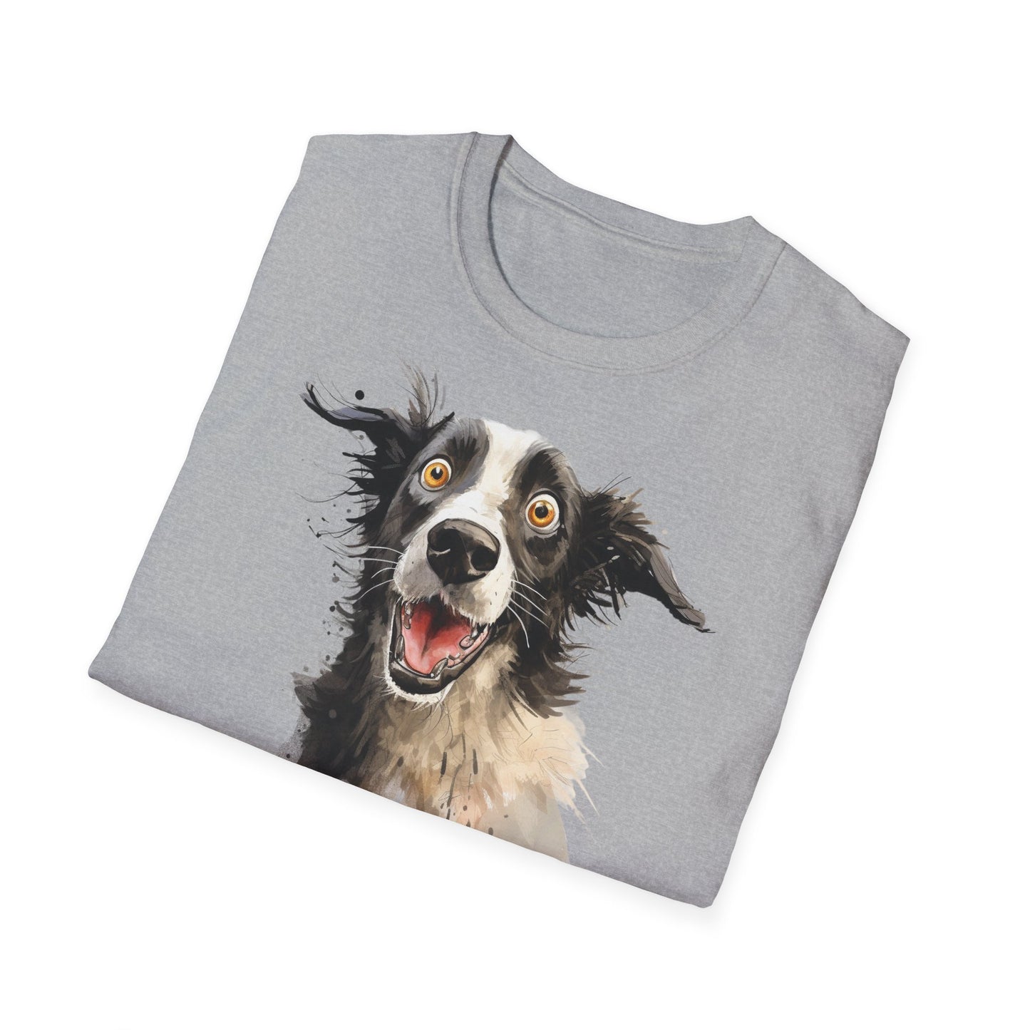 Funny Border Collie #4