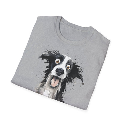 Funny Border Collie #1