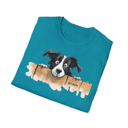 Border Collie #5