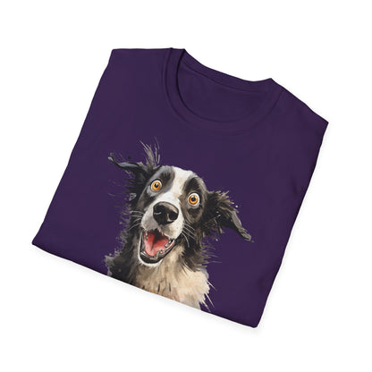 Funny Border Collie #4